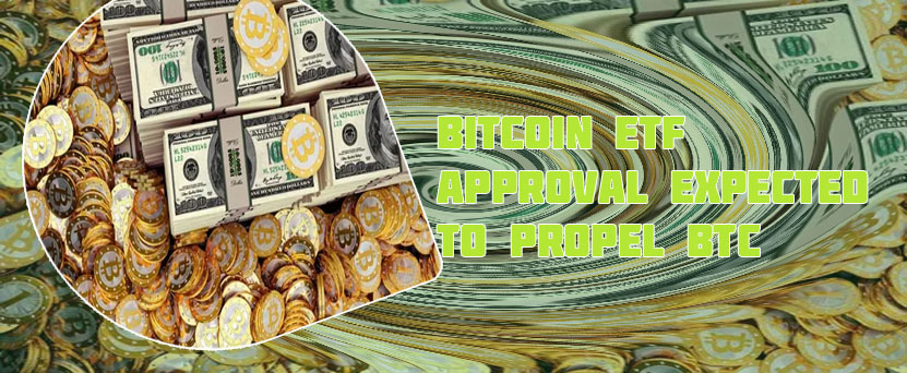 Btc dolqr