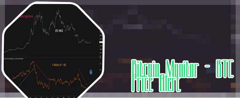 Btc traack