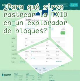 Btc txid