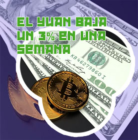 Convertidor de moneda bitcoin a dolar en español