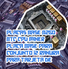 Placa base btc