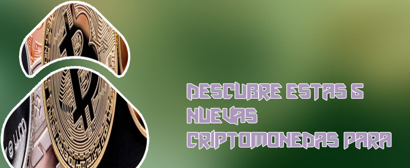 Que significa holder en criptomonedas en españa