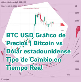 Valor btc real